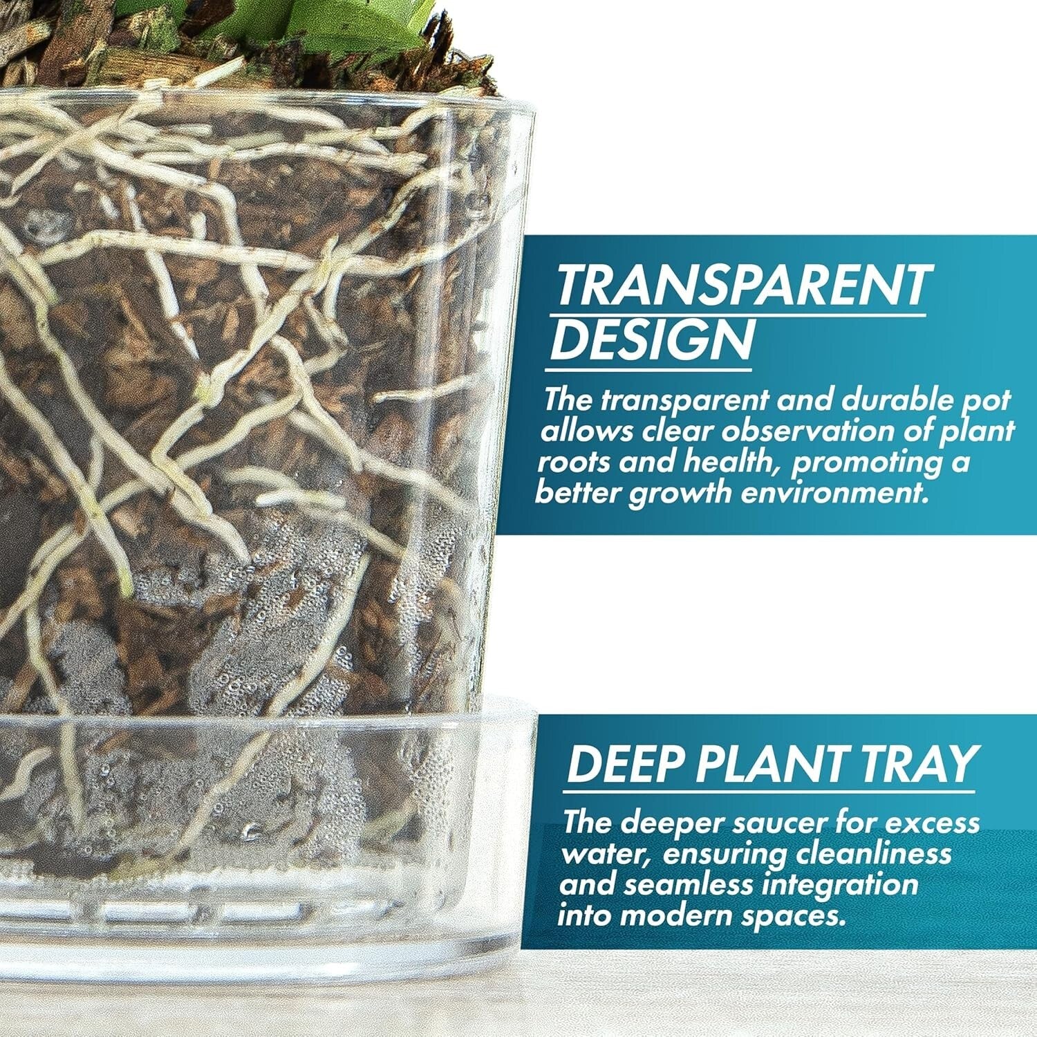 Modern 3.5 Inch Clear Acrylic Pot with Tray - Ideal for Herbs and Succulents