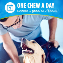 Load image into Gallery viewer, ActivFresh Dental Chews for Small &amp; Medium Dogs - 90-Piece Breath Fresheners