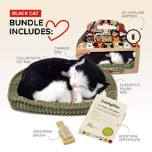 Load image into Gallery viewer, 10.75 Inch Lifelike Stuffed Black &amp; White Kitten - Ideal for Pet Lovers and Kids