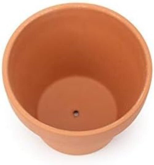 Premium Clay Nursery Pots 26-Pack with Drainage - Ideal for Succulent Displays