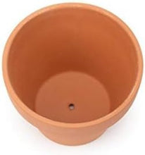 Load image into Gallery viewer, Premium Clay Nursery Pots 26-Pack with Drainage - Ideal for Succulent Displays