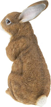 Load image into Gallery viewer, Charming Hand-Painted Rabbit Garden Statue - Durable Resin Outdoor Décor