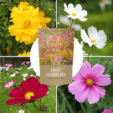 Load image into Gallery viewer, Guaranteed Growth Cosmos Seeds - 1 lb Wildflower Mixture in Premium Packaging