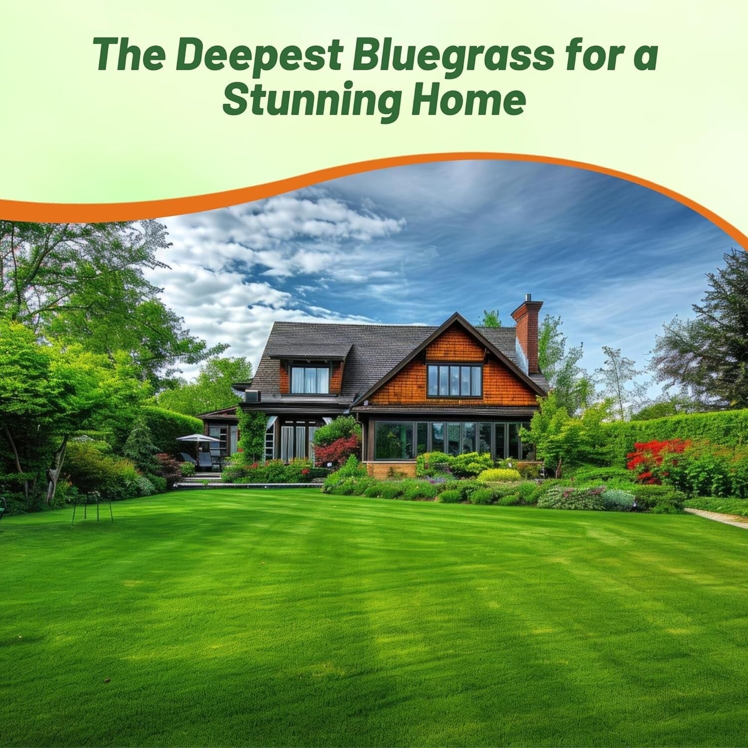 10 Lbs of Cold & Drought Tolerant Kentucky Bluegrass Seed - OptiGrowth Coated