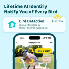 Load image into Gallery viewer, Solar-Powered Bird Feeder Camera with AI Species Recognition &amp; Cloud Storage