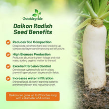 Load image into Gallery viewer, Drought Tolerant 10 lbs. Daikon Radish Seeds - Improve Soil &amp; Grow Fresh Veggies