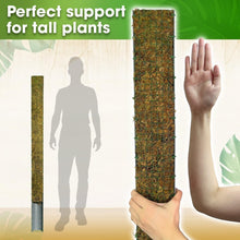 Load image into Gallery viewer, 59'' D-Shape Moss Pole for Climbing Plants - Durable Indoor Plant Support