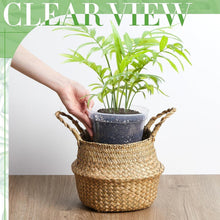 Load image into Gallery viewer, Versatile 12-Pack Clear Nursery Pots with Drainage for Indoor and Outdoor Plants