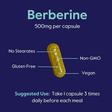 Load image into Gallery viewer, GMP Certified Berberine 500mg - 240 Vegan Capsules, No Fillers or Flow Agents