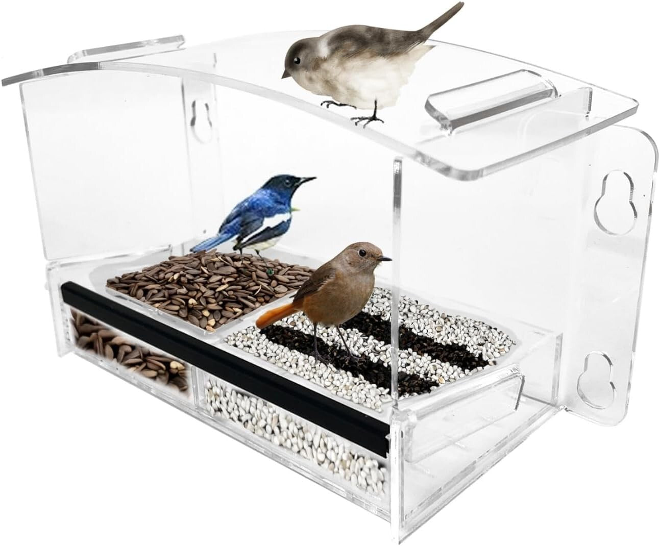 Eco-Friendly Clear Bird Feeder with Strong Suction Cups for Hummingbird Viewing