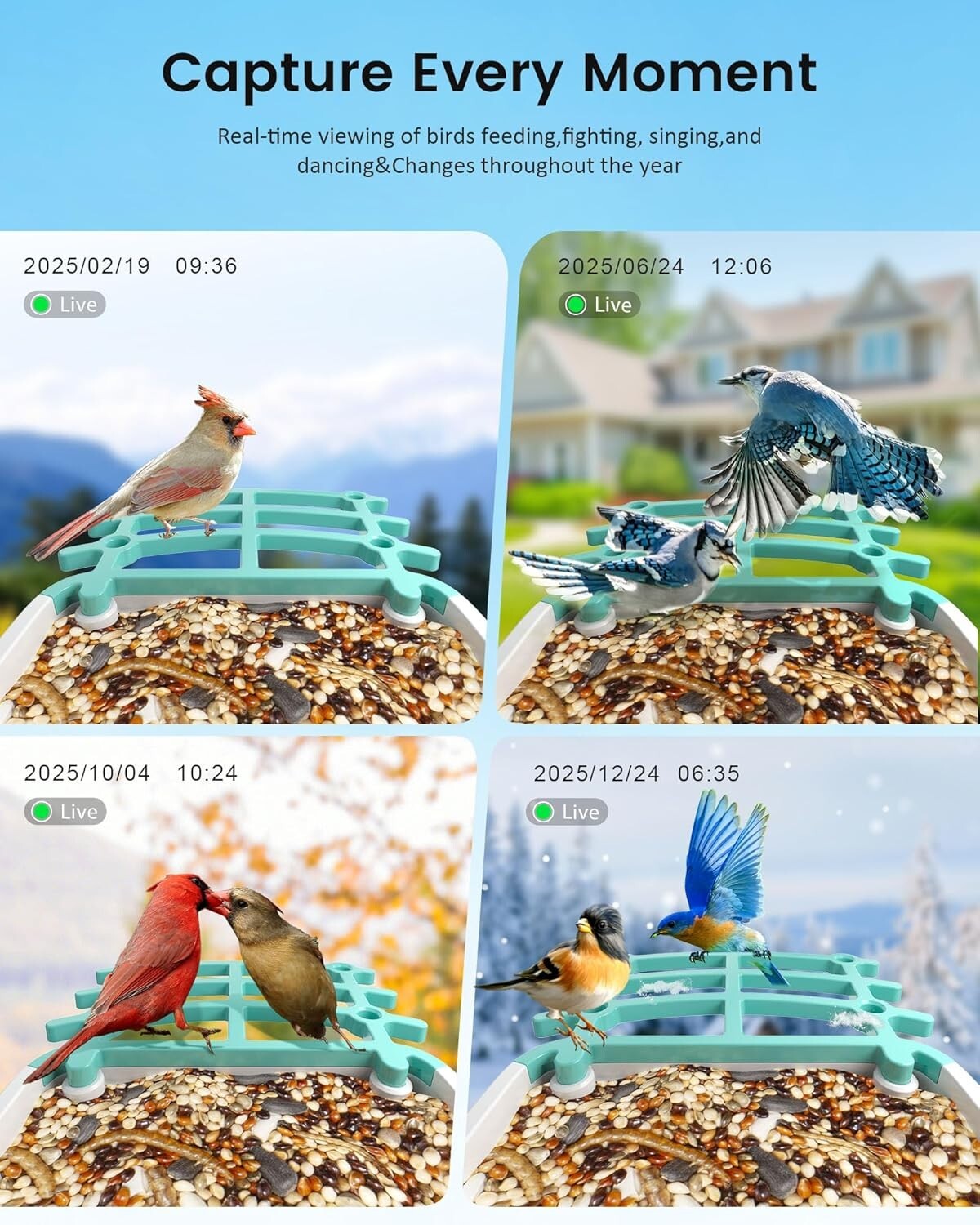 Eco-Friendly Smart Bird Feeder: AI Recognition & Night Vision for 11,000 Species