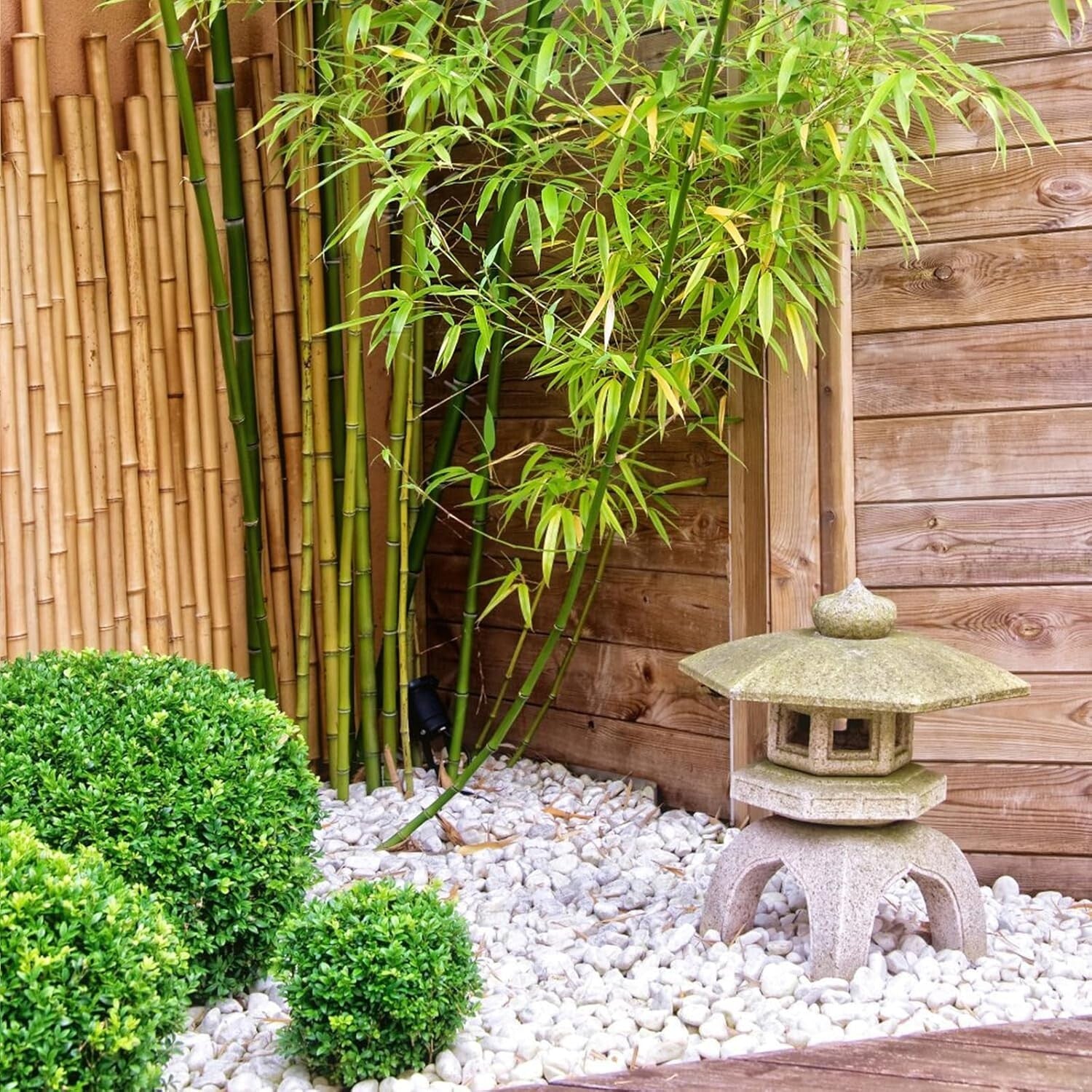 Elegant 20lbs White Pebbles - Ideal for Landscaping, Planters & Creative Decor