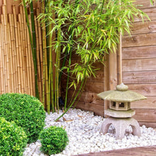 Load image into Gallery viewer, Elegant 20lbs White Pebbles - Ideal for Landscaping, Planters &amp; Creative Decor