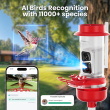 Load image into Gallery viewer, Smart Hummingbird Feeder Camera with AI Wildlife Recognition and Ant Moat Design