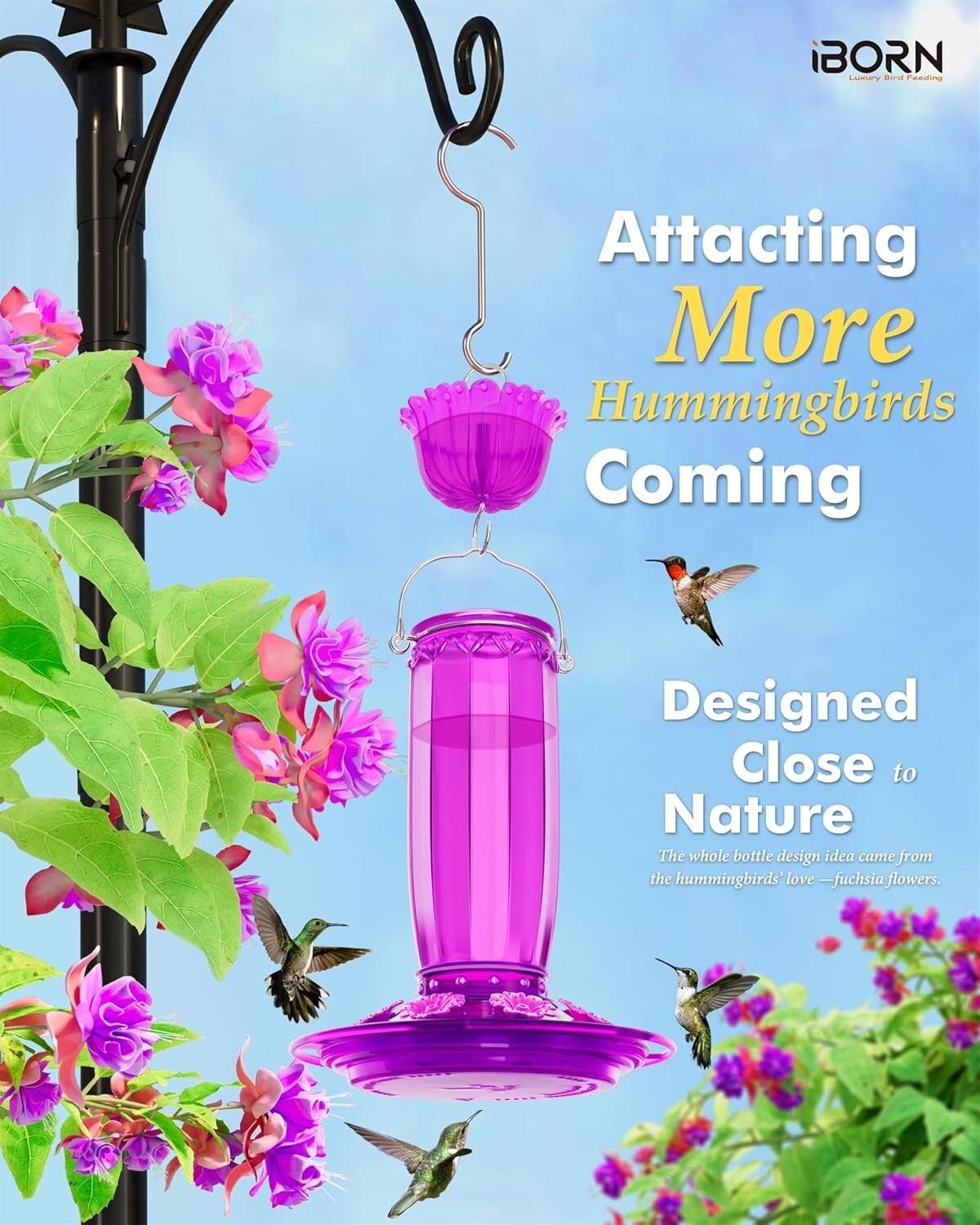 Attractive Hummingbird Feeder with Ant Moat - Durable Glass, Gift Box Included