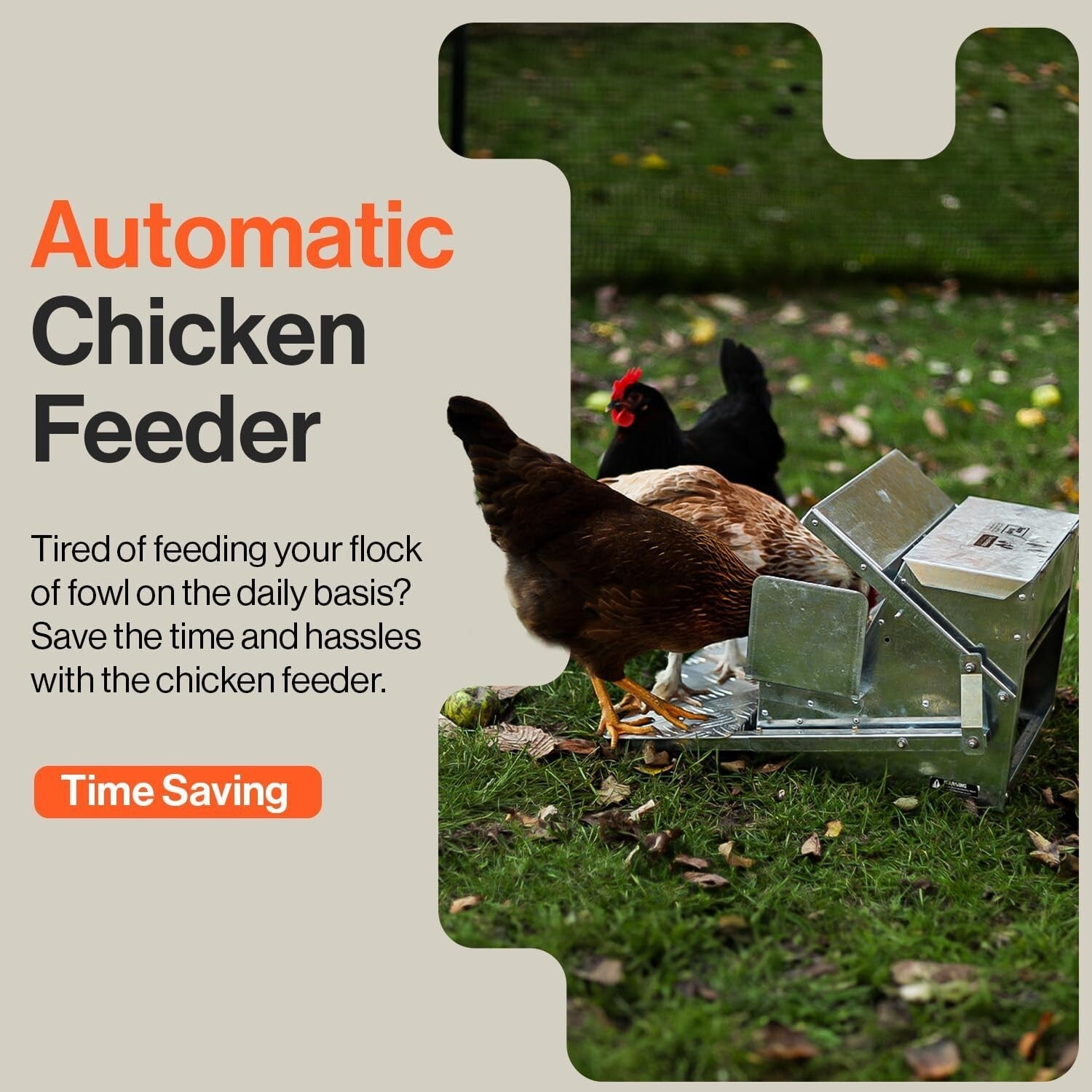 Exceptional Automatic Chicken Feeder - 20lbs Capacity & Anti-Slip Protection