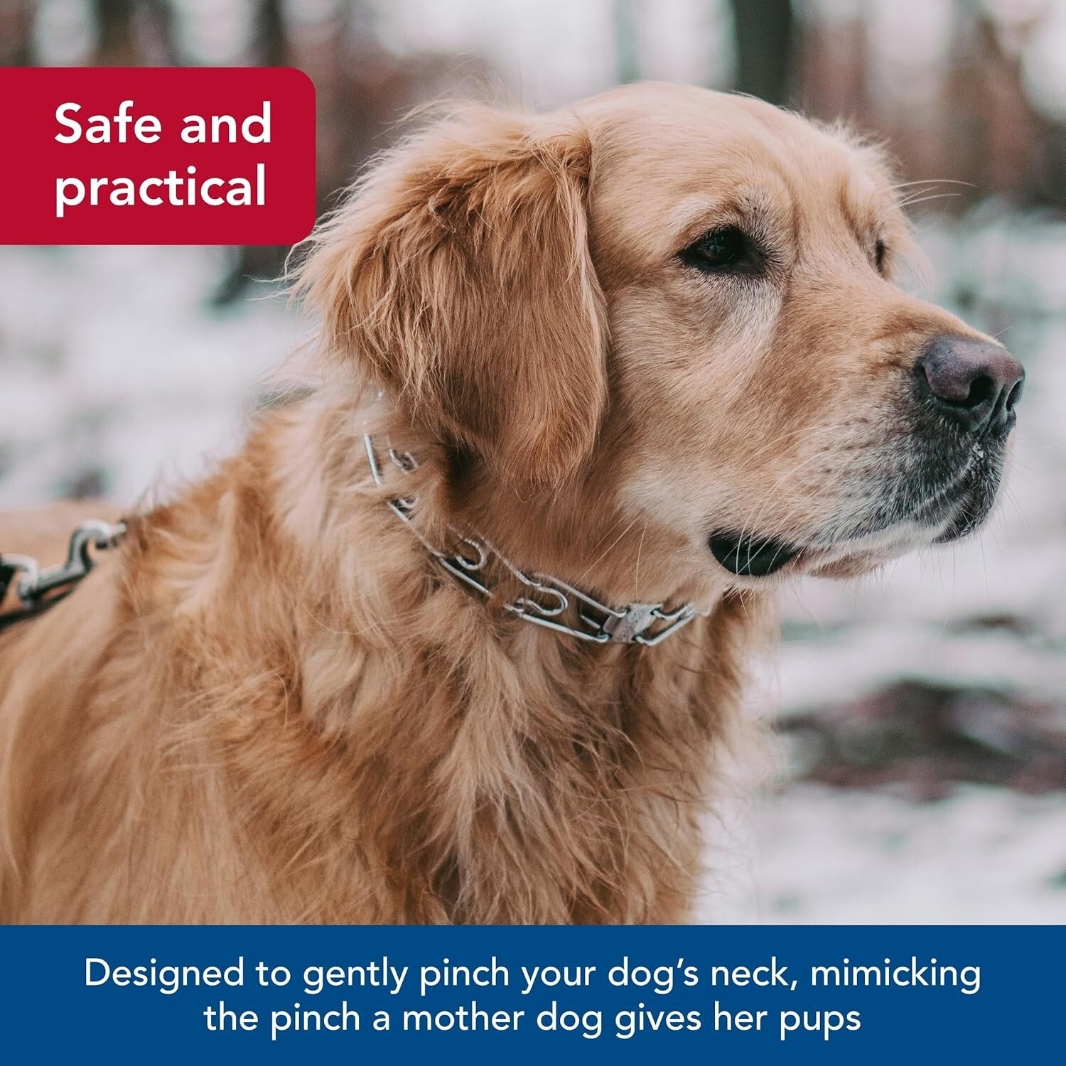 Durable Chrome Prong Dog Collar, 4mm x 21" - Behavior Correction for Large Dogs