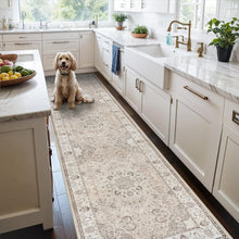 Load image into Gallery viewer, Cozy 3' x 10' Stain Resistant Runner Rug for Entryway &amp; Living Room Style