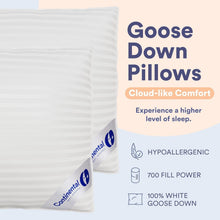Load image into Gallery viewer, Elegant 700 Fill Power Hungarian Goose Down Pillows - 20 x 26 Inches, Pack of 2
