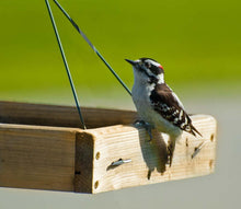 Load image into Gallery viewer, Elegant Weatherproof Cedar Bird Feeder - 3 in 1 Functionality for Backyard Birds