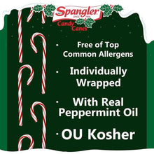 Load image into Gallery viewer, Classic Peppermint Candy Canes - 144 Individually Wrapped Festive Treats