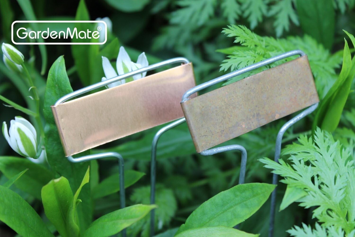 Durable 50-Pack Weatherproof Copper Name Plate Labels for Garden & Home Plants