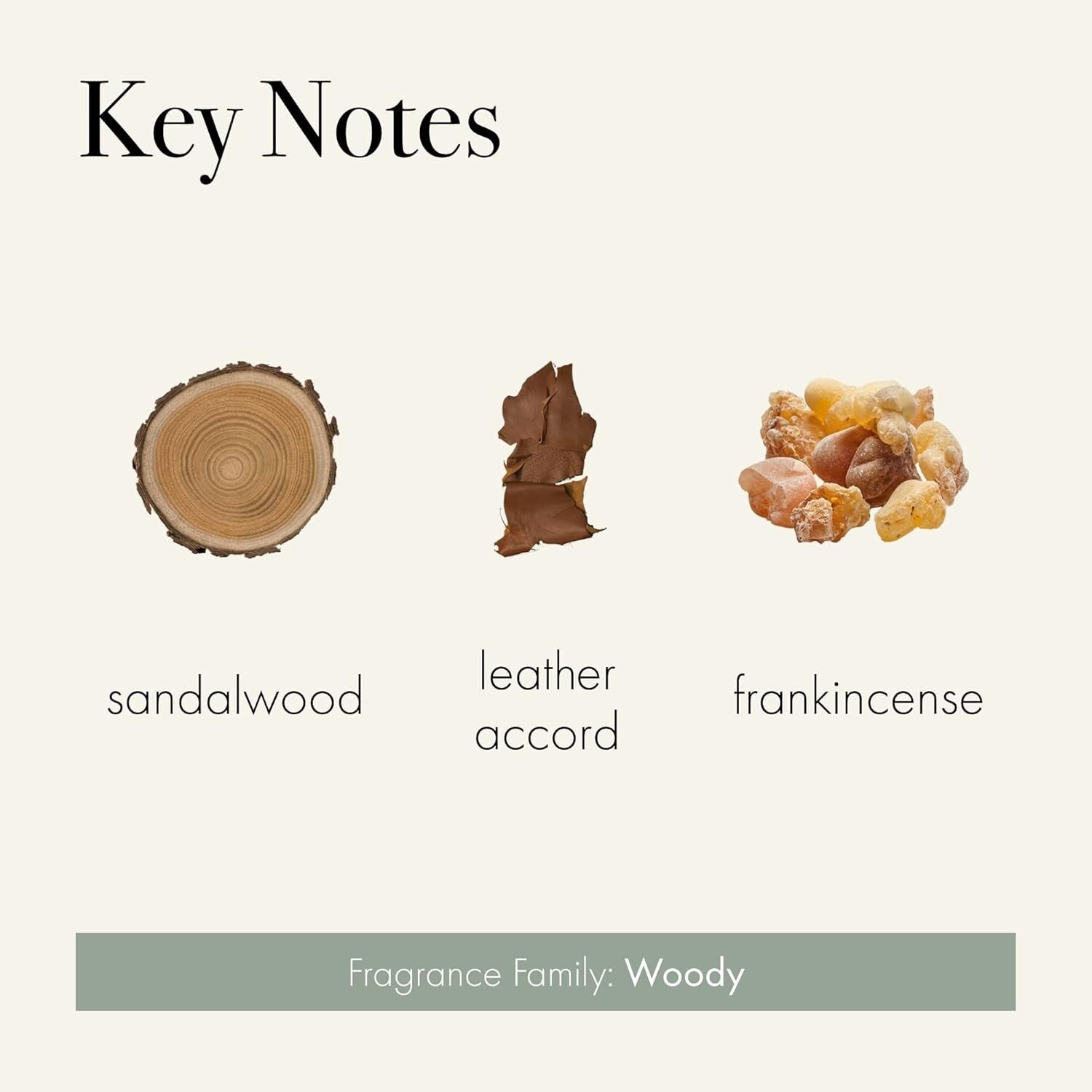 15 oz Reed Diffuser - Feu de Bois Scent in Reusable Glass Vessel, 9 Months