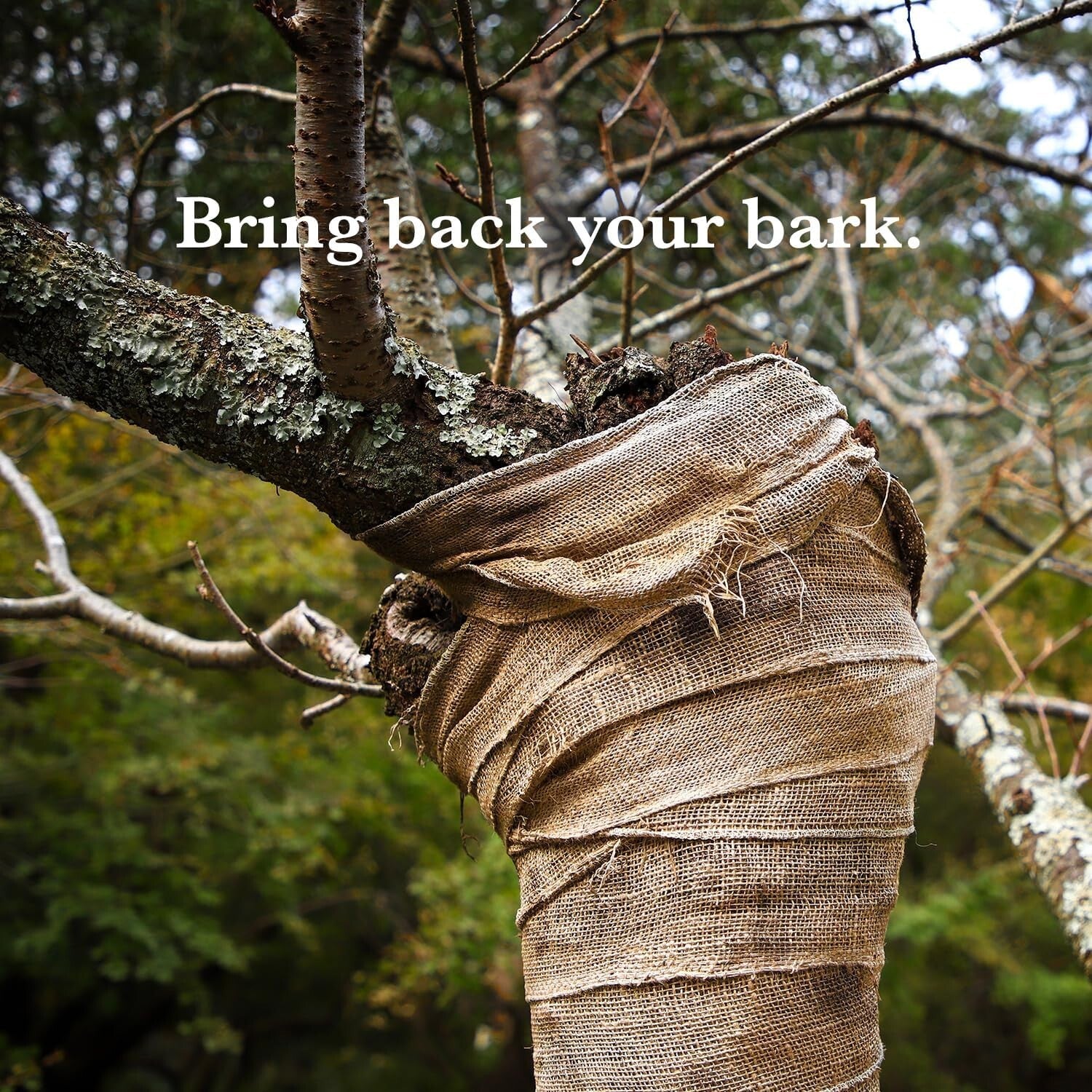 Customizable Natural Jute Burlap Roll 40"x150' - Premium Solution for Gardeners