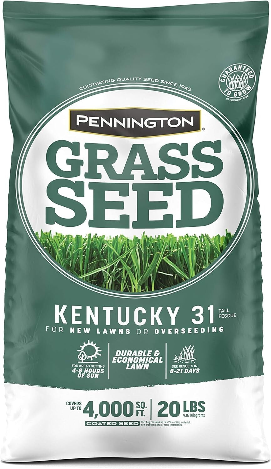 20 lb Kentucky 31 Tall Fescue Grass Seed - Economical, Drought-Resistant Turf