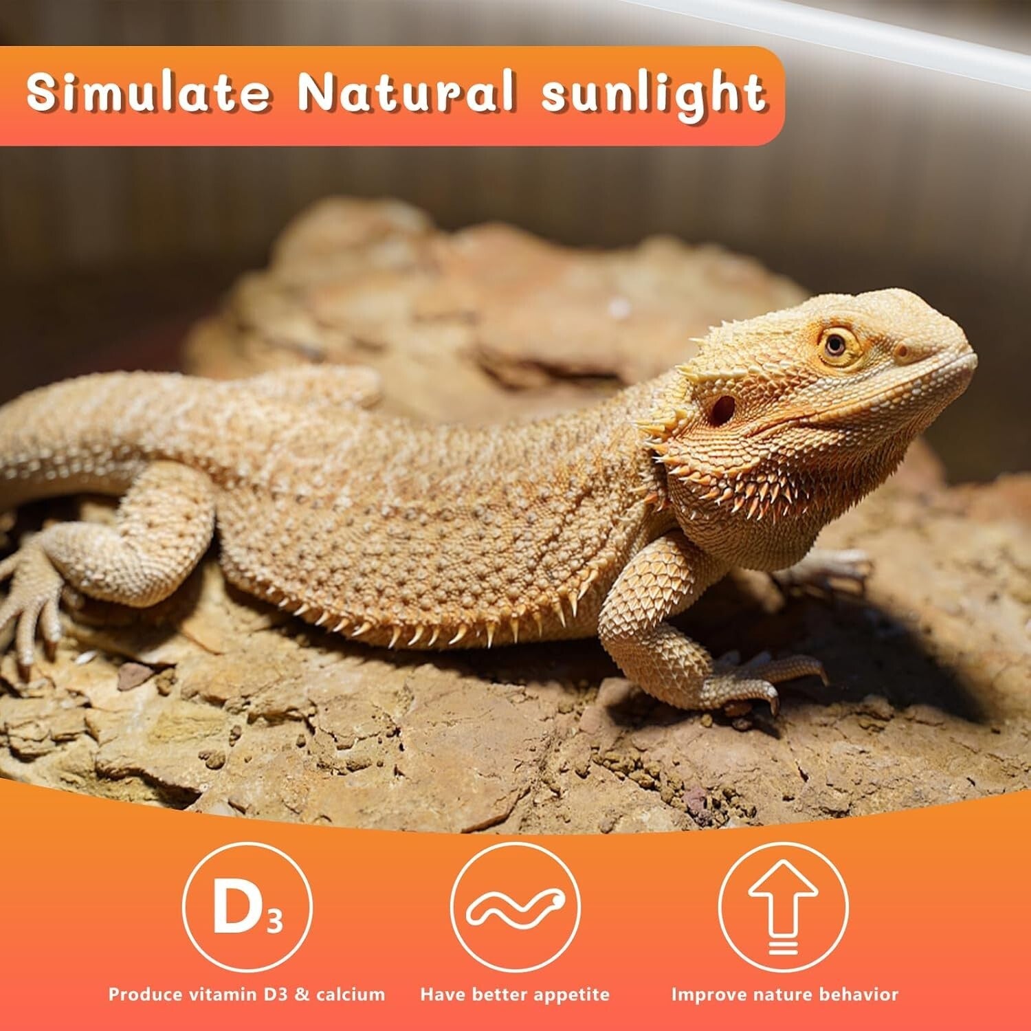 Energy-Efficient Reptile UVB Light Tubes - Full Spectrum Sunlight (2 Pack)