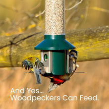 Load image into Gallery viewer, PestOff 2.0 Squirrel-Proof Wild Bird Feeder - 4lbs Capacity, Weatherproof Green