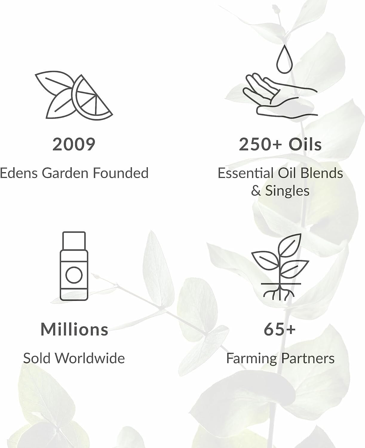 Premium Grade Helichrysum Essential Oil - Soothe Skin & Enhance Relaxation 30 ml