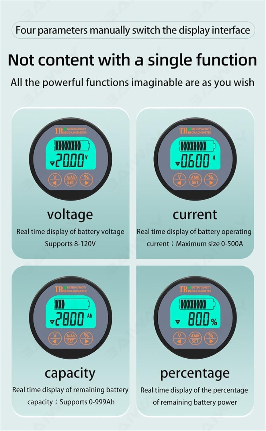 Electric Vehicle Battery Monitor: 8-80V, 0-100A - Reliable Performance Tracker