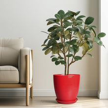 Load image into Gallery viewer, Stylish Round Red Ceramic Planter 10 Inch - Perfect for Flowers &amp; Gifts