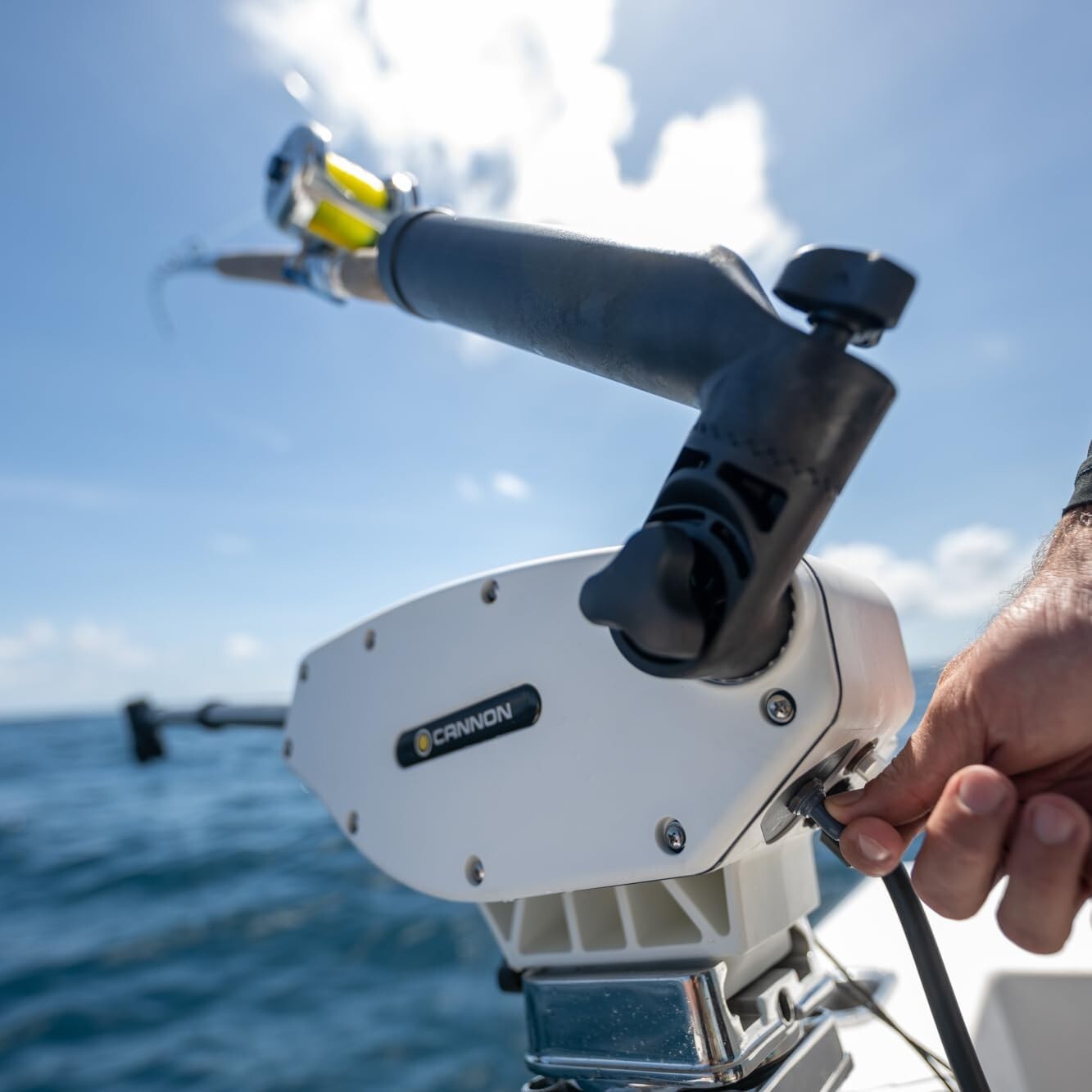 Stainless Steel Electric Downrigger with 24-53" Adjustable Boom for All Fishing