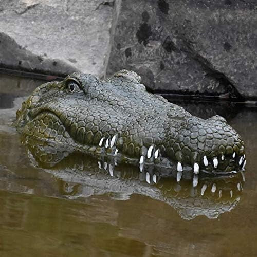 Rechargeable 2.4GHz Remote-Controlled Alligator Head – Ideal Pool Prank