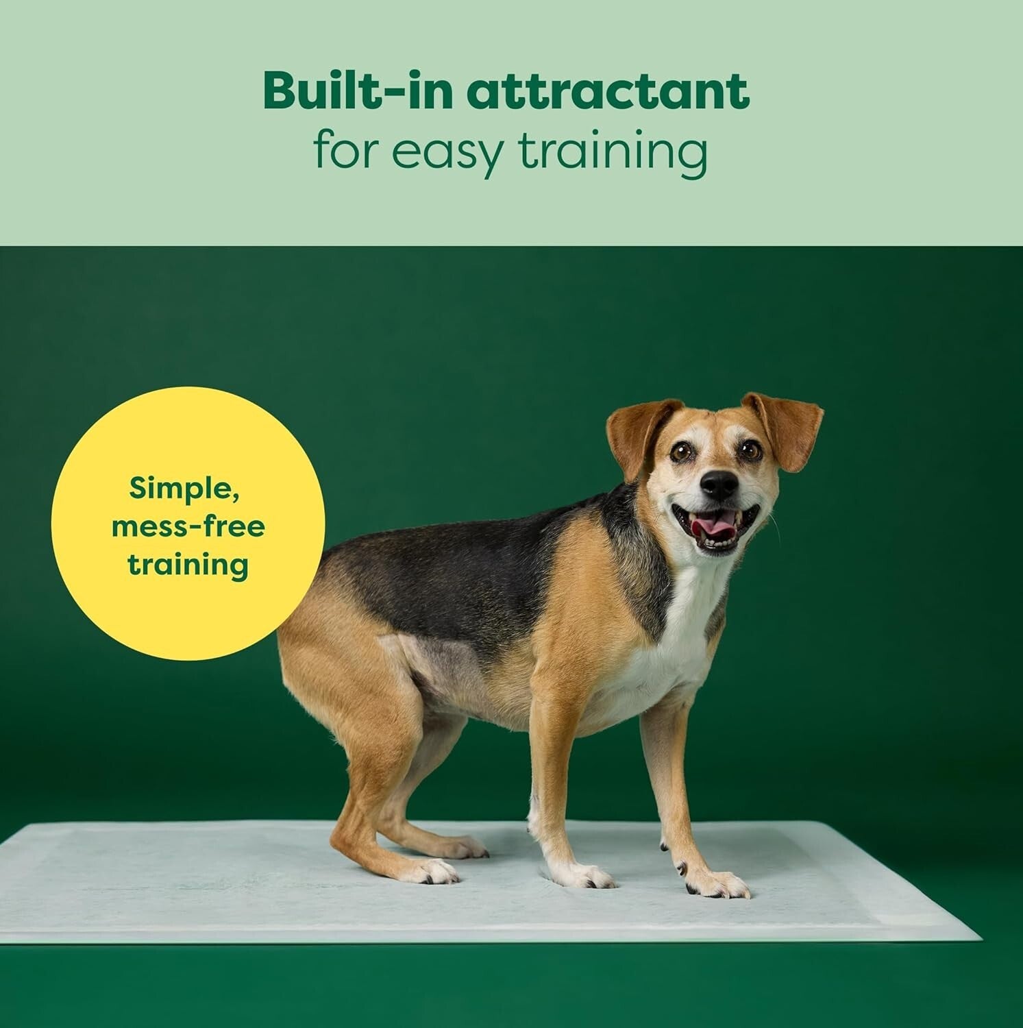 Odor-Blocking 3-in-1 Puppy Training Pads - Leak Proof & Fast Absorbency - 28x34