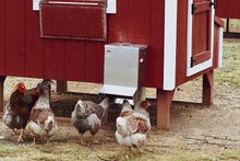 Load image into Gallery viewer, Durable Metallic Poultry Feeder: 50LB Capacity - Ideal for Grit and Oyster Shell