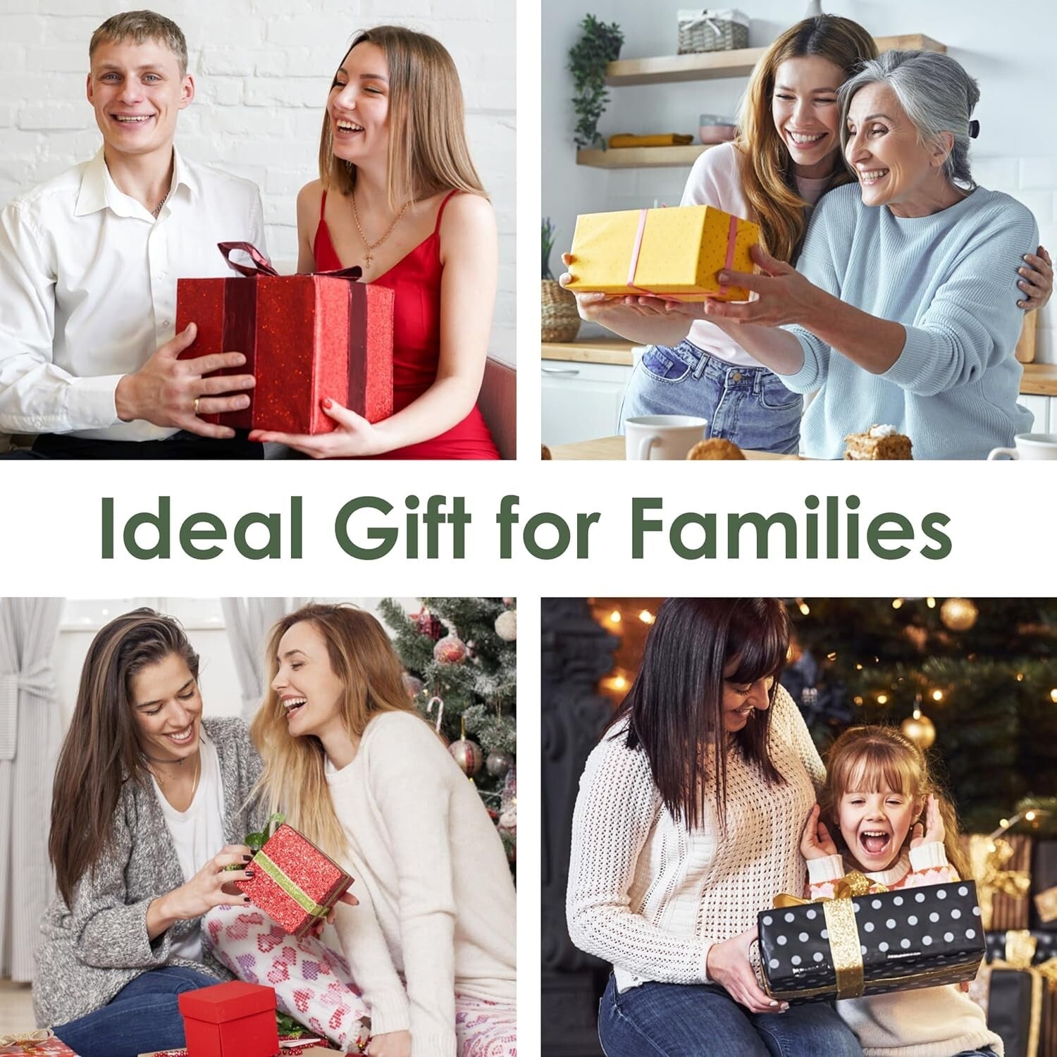 Educational Solar Birdhouse with Auto-Recording Camera for Kids & Nature Lovers