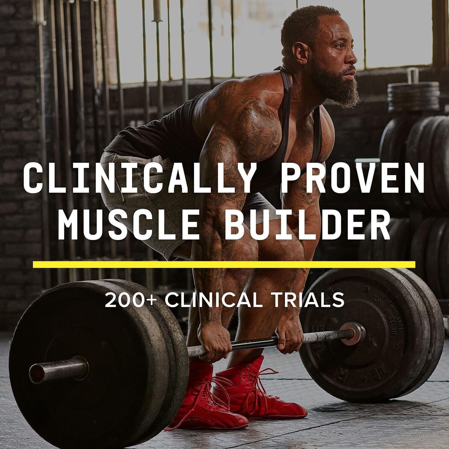 Chemistry Labs HMB Powder | 30 Servings of 3g Lab-Grade Performance Boost