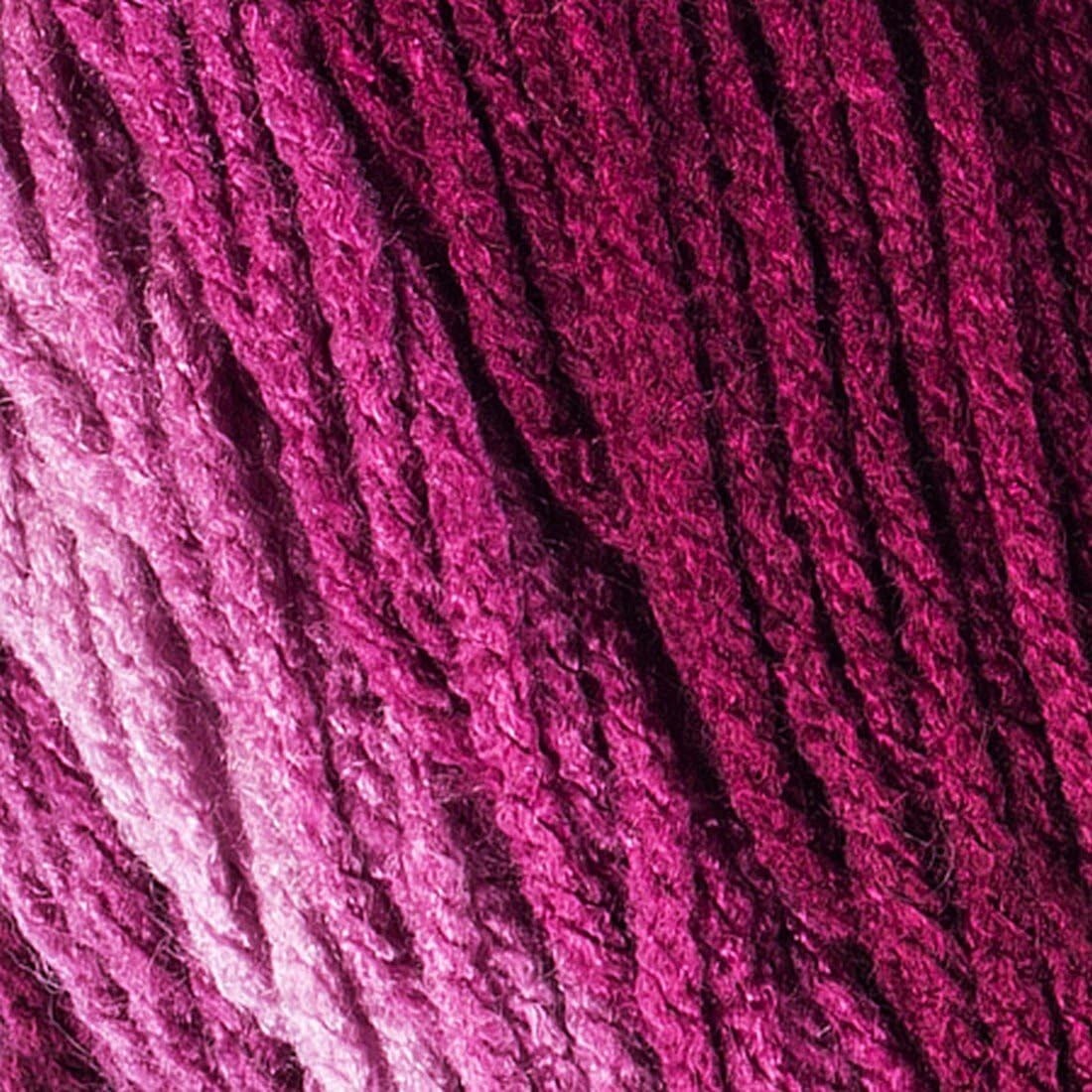 Super Saver Ombre Anemone Yarn 2-Skein Set with Carry Project Bag - 100% Acrylic