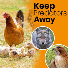 Load image into Gallery viewer, Weather-Resistant 25' x 50' Chicken Coop Netting - Protect Your Flock &amp; Garden