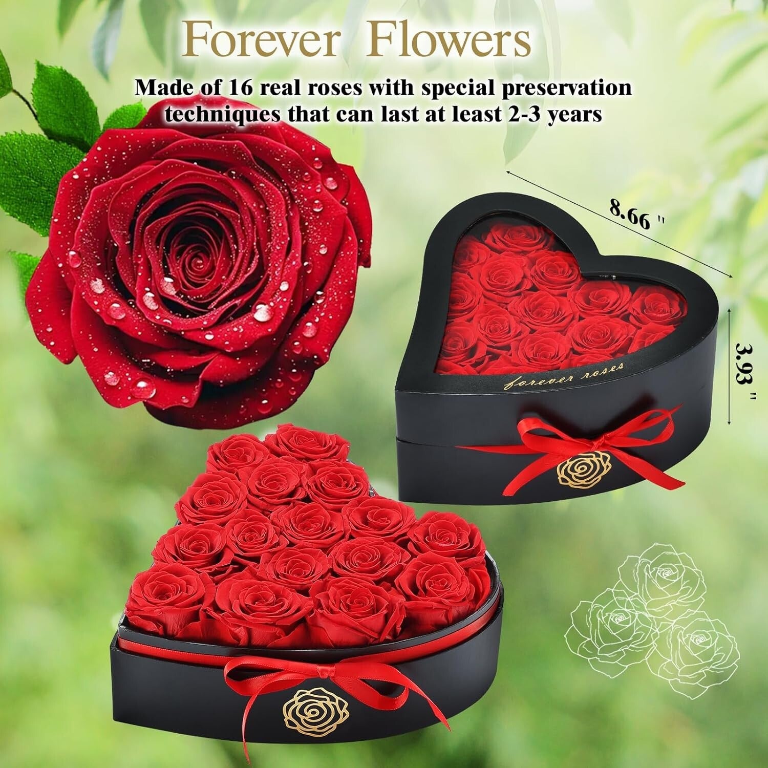 Forever Roses Gift Box: 16 Grade A Red Blooms, 2-3 Year Lifespan, No Maintenance