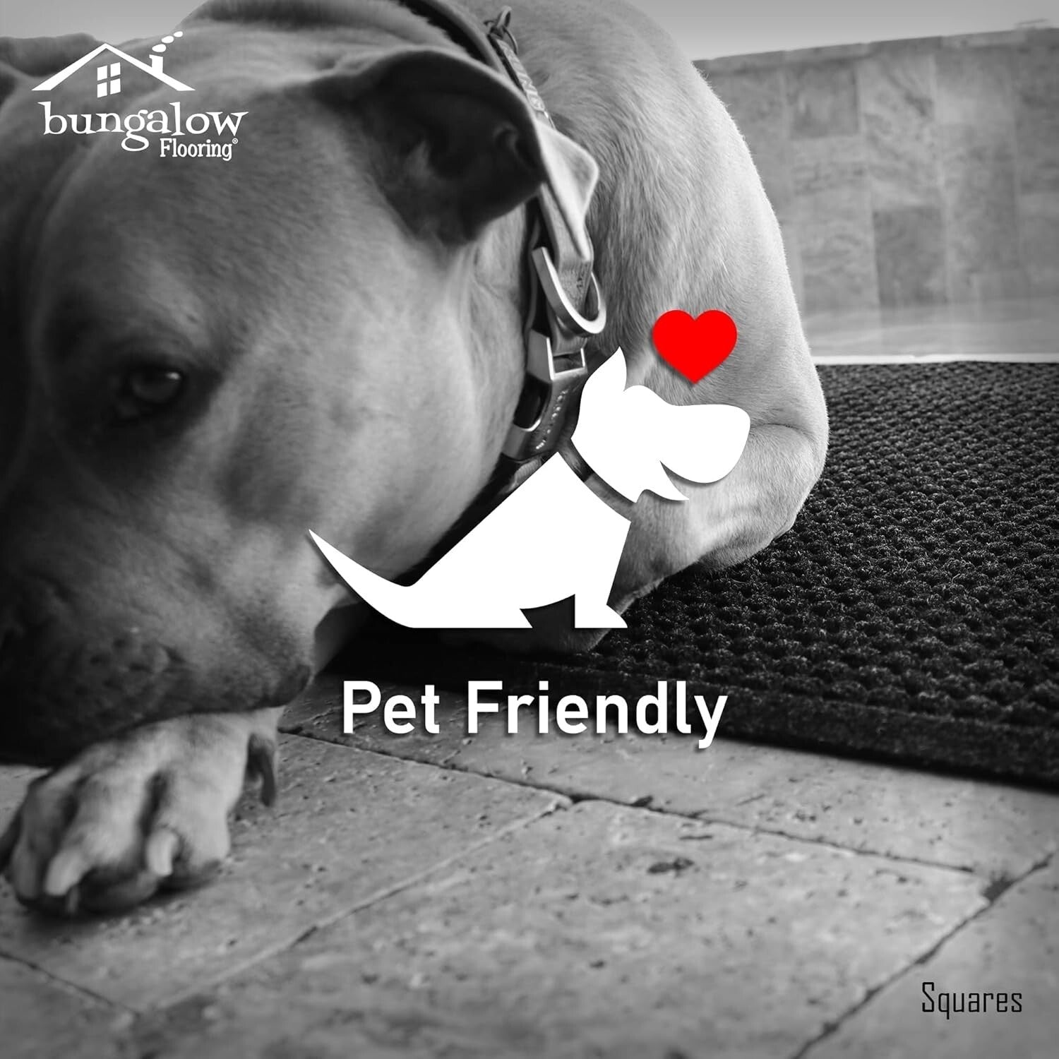 3' x 5' Waterhog Doormat - Commercial-Grade Skid Resistance for All Floors