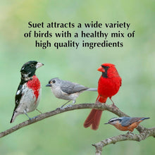 Load image into Gallery viewer, Peanut Delight No Melt Suet Dough Log - Ready to Hang Bird Feed, 1 lb, 8 Pack