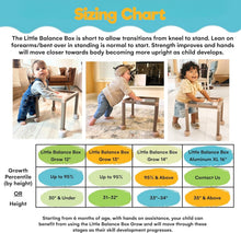 Load image into Gallery viewer, Safe and Stable Montessori Baby Walker with Activity Table for Confident Walking