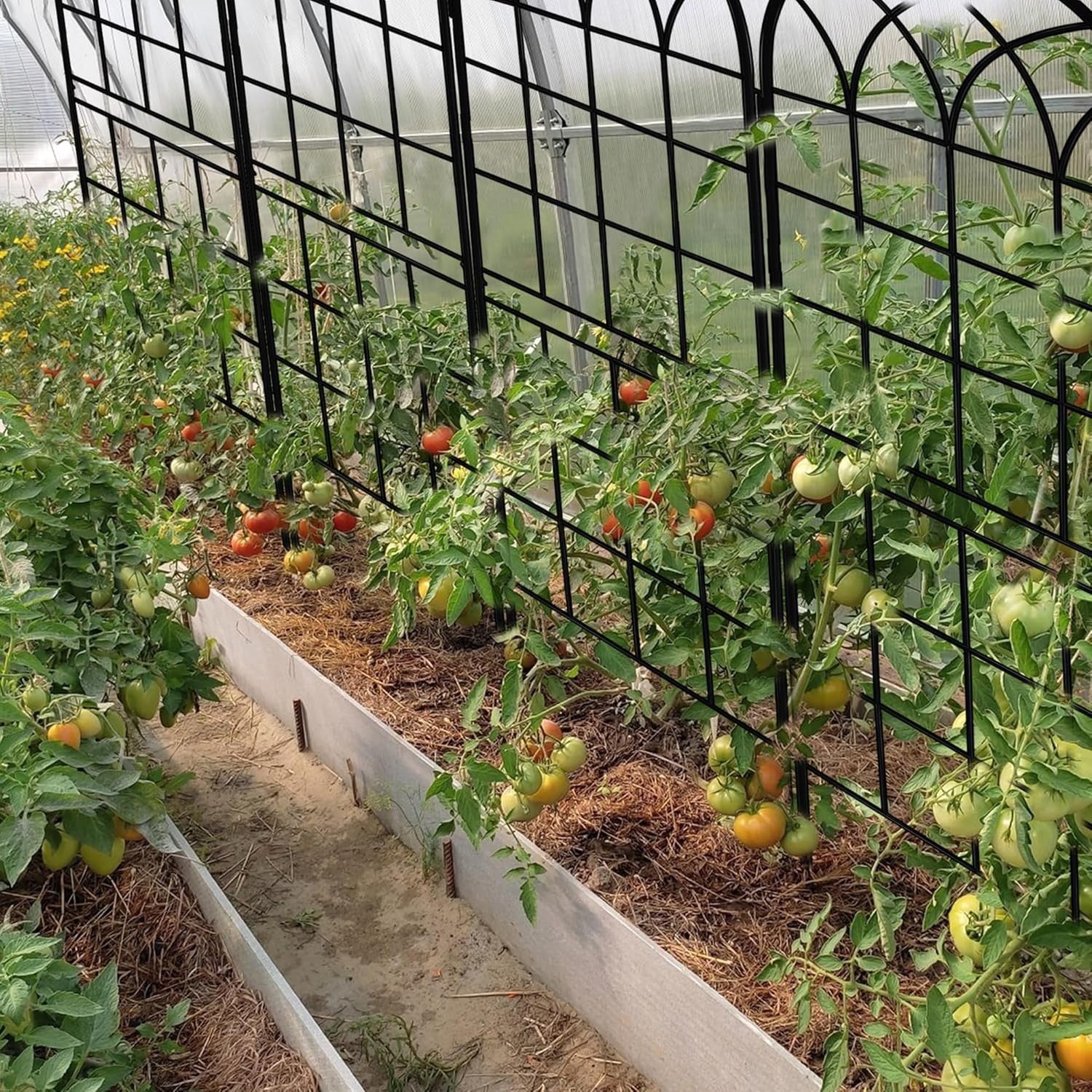 Elegant Rust-Proof Iron Arch - 71x20in Trellis for Outdoor Climbing Plants