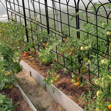 Load image into Gallery viewer, Elegant Rust-Proof Iron Arch - 71x20in Trellis for Outdoor Climbing Plants