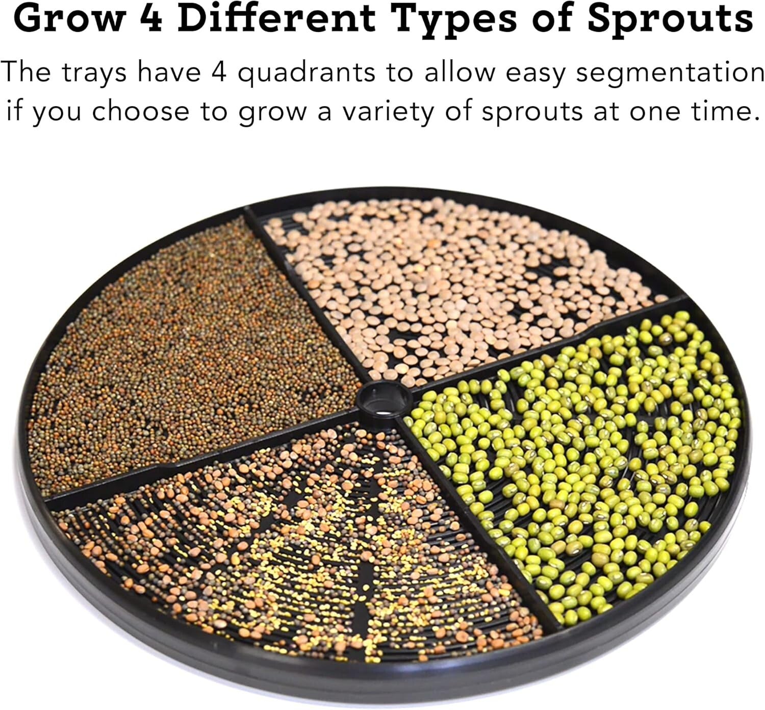 Freshlife FL-3000: Automatic Seed Sprouter for Year-Round Organic Greens