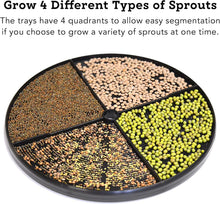 Load image into Gallery viewer, Freshlife FL-3000: Automatic Seed Sprouter for Year-Round Organic Greens